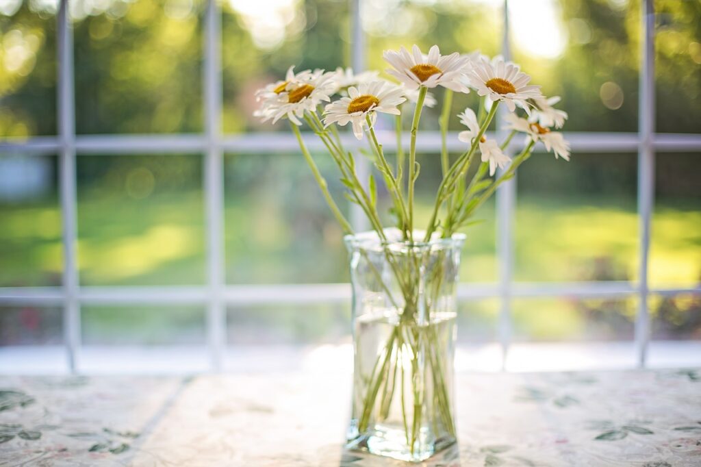 A window with the sun shining through it and a vase of flowers sitting in the sunlight.