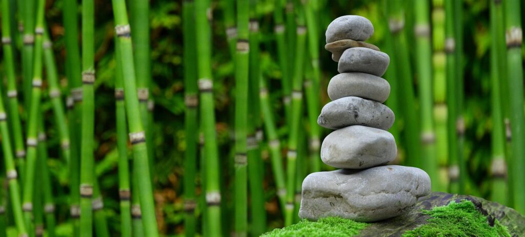 A stack of rocks in a jungle.