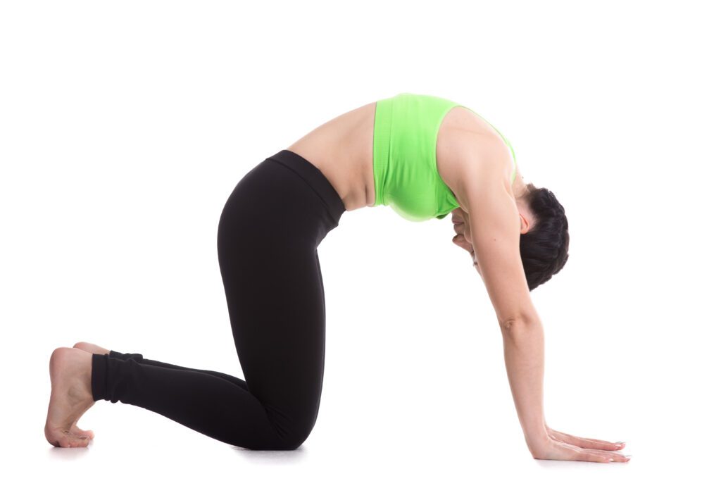 A woman performing the cat back stretch