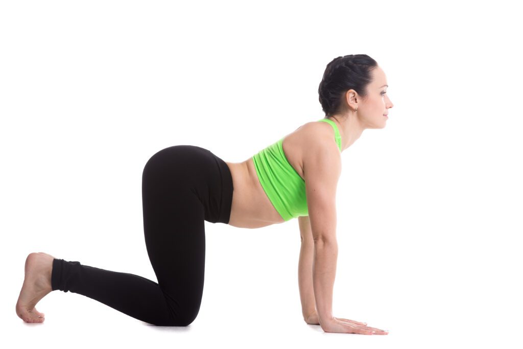 A woman performing the cow back stretch